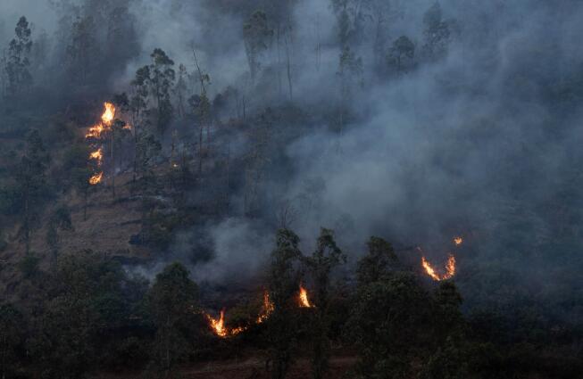 3月31日在西昌市经久乡拍摄的森林火灾现场.新华社记者 江宏景 摄