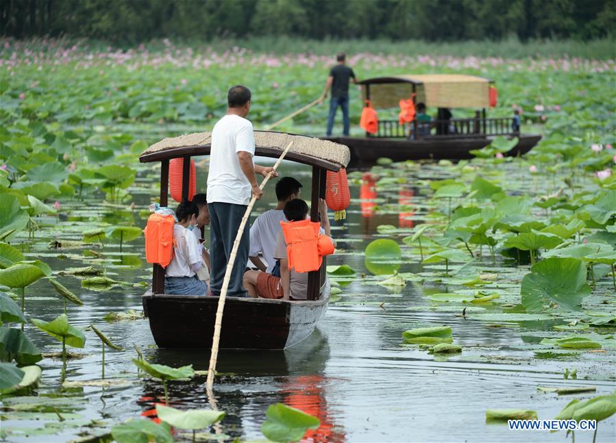 CHINA-LIAONING-WETLAND PARK-LOTUS-BLOSSOM (CN)