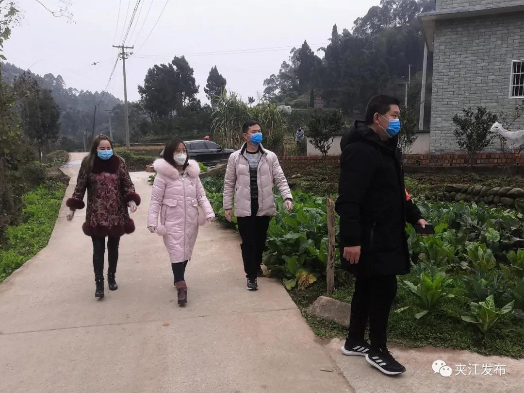 走进四川省夹江县甘江镇定惠村的茶园里,眼前这位文质彬彬的女性,戴着