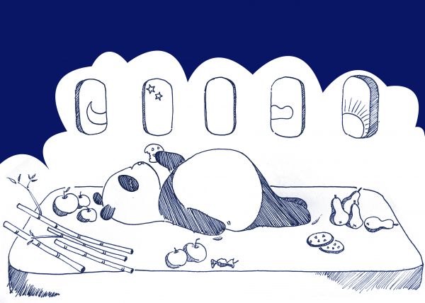 3舒适的机舱生活ok