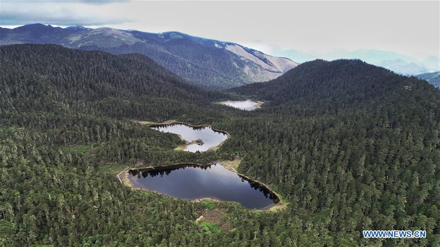 CHINA-YUNNAN-BIODIVERSITY (CN)