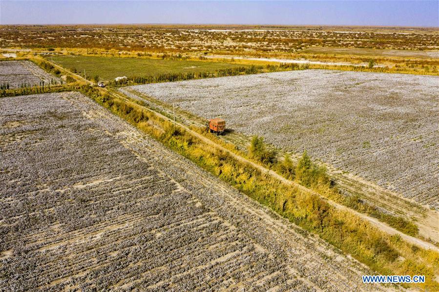 CHINA-XINJIANG-TIANSHAN MOUNTAINS-HARVEST (CN)