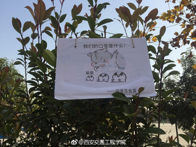 高校禁烟表情包火了 Anti-smoking campaign at NW college goes viral