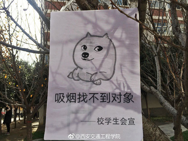 高校禁烟表情包火了 Anti-smoking campaign at NW college goes viral