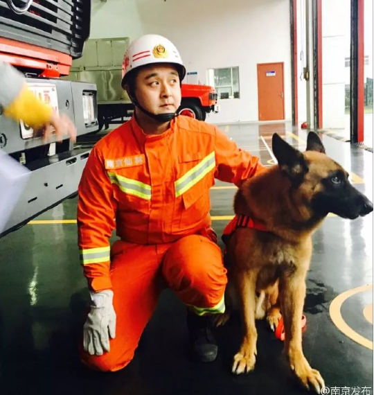 忠犬沈虎
